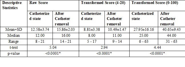 Quality of life of young male catheterized patients