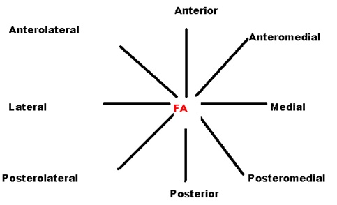 Ultrasonographic analysis of the anatomical relationship between femoral vessels in the upper part of thigh in critically ill patients– a cross sectional study