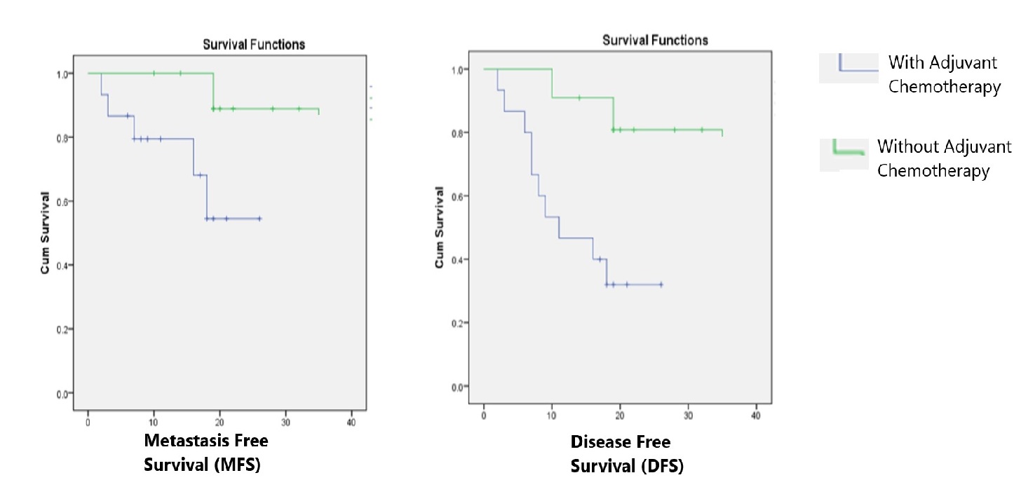 Prognostic significance of primary tumour volume in nasopharyngeal carcinoma – a single institute study