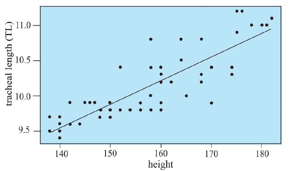 A morphometric study of adult human trachea in West Bengal population