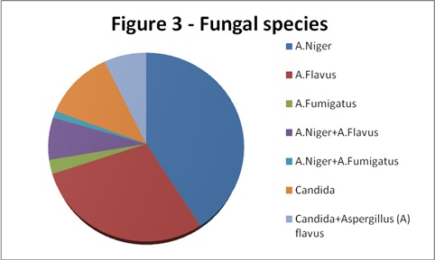 Study of Etiological factors, mycological profile and treatment of Otomycosis