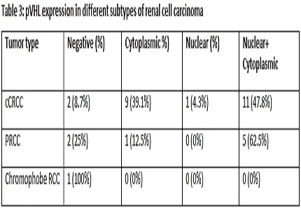 VHL protein expression in renal cell carcinoma