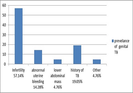 A Hospital Based Study on Female Genital Tuberculosis in Central India