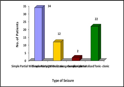 Spectrum of epilepsy in Neurocysticercosis