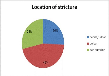 Single stage substitution urethroplasty using buccal mucosa in the management of stricture urethra in balanitis xerotica obliterans (BXO)