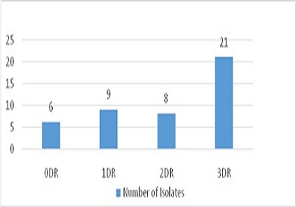 Antimicrobial resistance pattern of faecal Escherichia coli isolates: story of antibiotic use and misuse