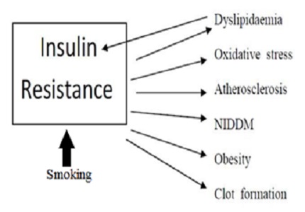 Role of lipids and free radicals in diabetic with hypertension and smokers for causation of coronary heart disease