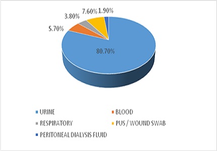 Phenotypic characterization of Trichosporon species from clinical isolates